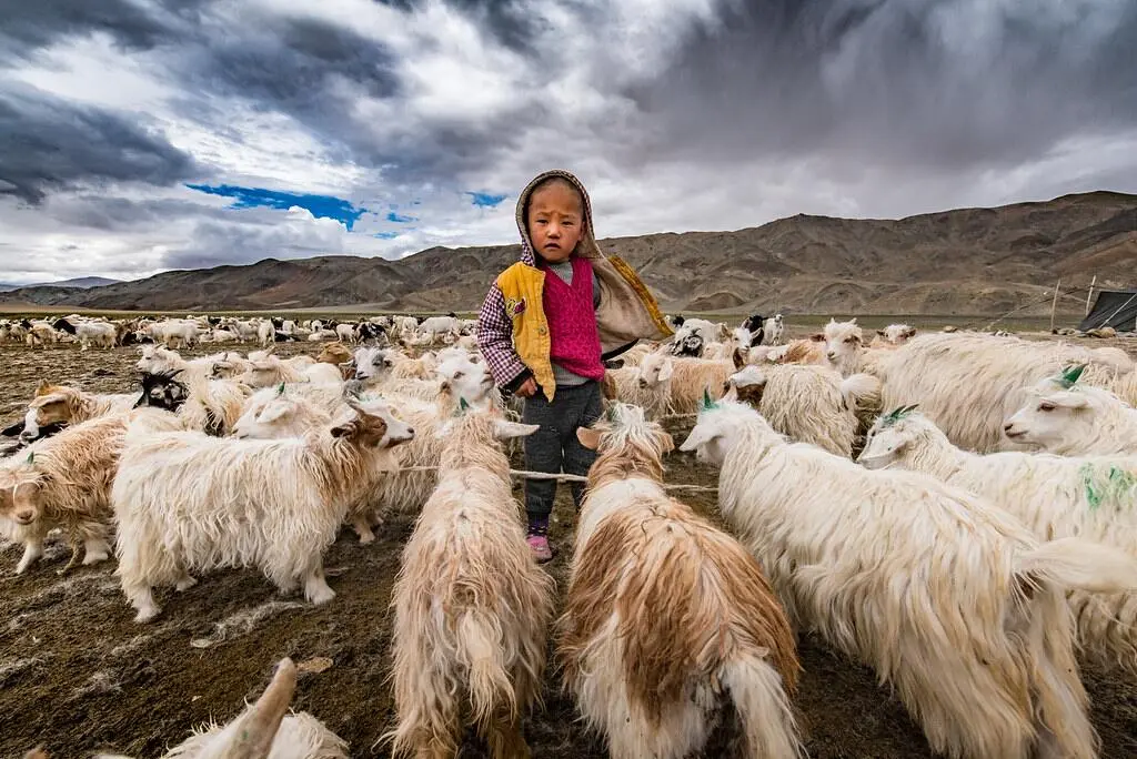 Day Five Itinerary Image Of The Ladakh Tour With Hanle Bike Package
