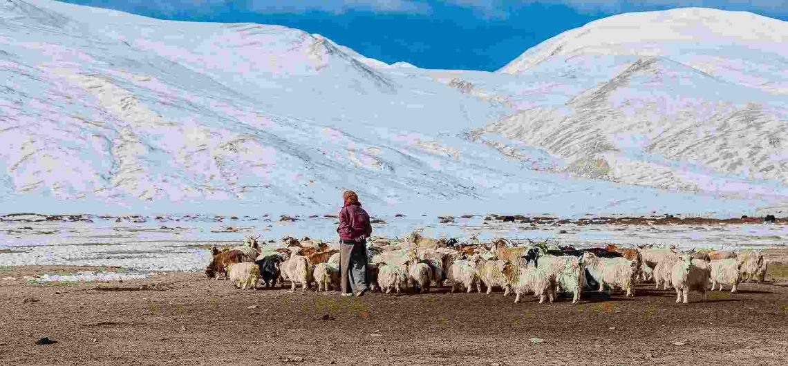 Day Five Itinerary Image Of The All Ladakh Tour Bike Package