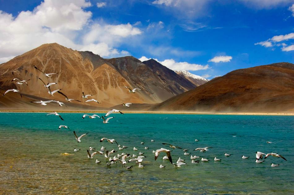 Day Four Itinerary Image Of The Ladakh Tour With Hanle Bike Package