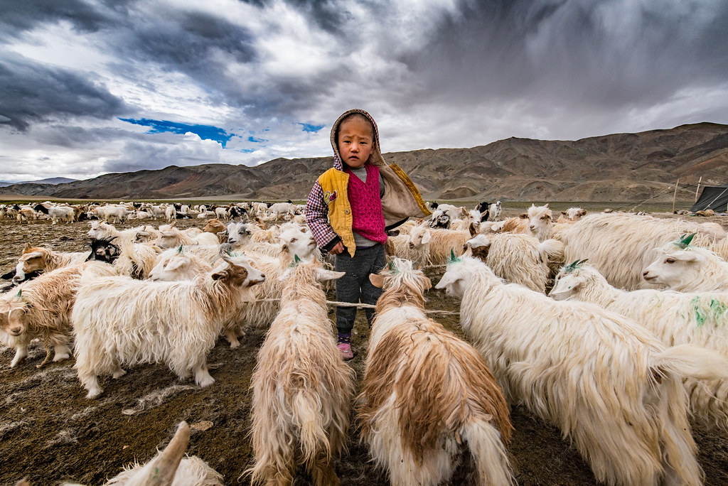 Day Five Itinerary Image Of The Ladakh Tour With Hanle Bike Package