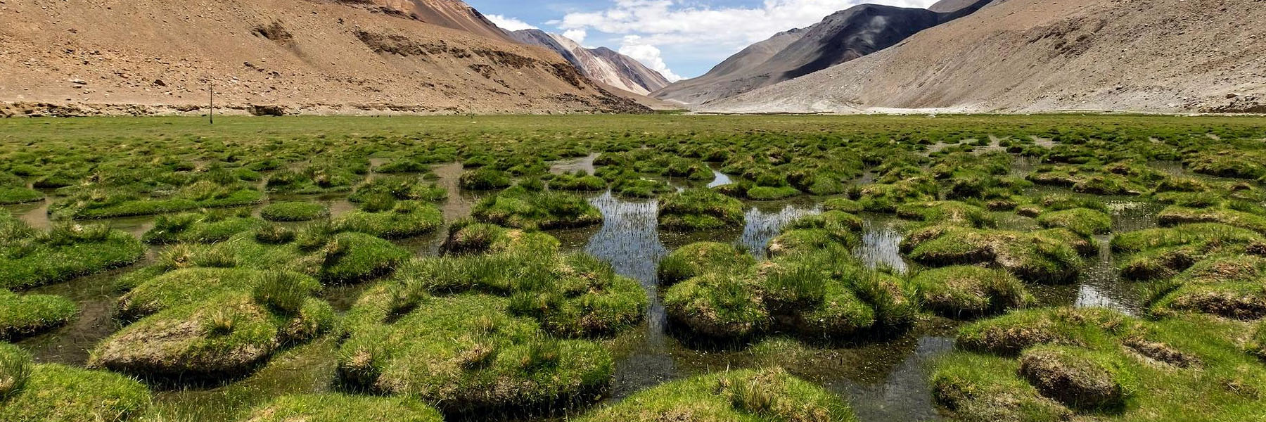 Day Nine Itinerary Image Of The Ladakh With Umling La Bike Tour